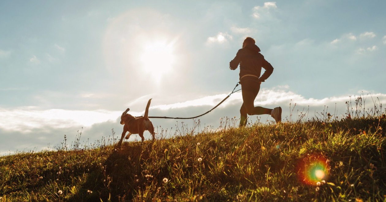 Man running with his beagle dog on a sunny morning