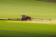 A tractor with spraying arms outstretched, spraying a field of crops