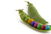 Colourful peas sitting in an open pea pod, with a closed pea pod behind it