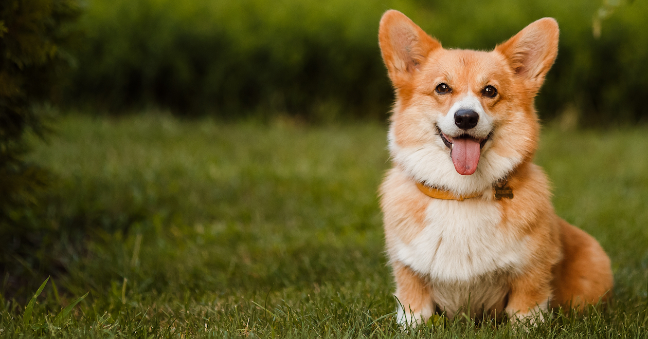 EH gets royal approval