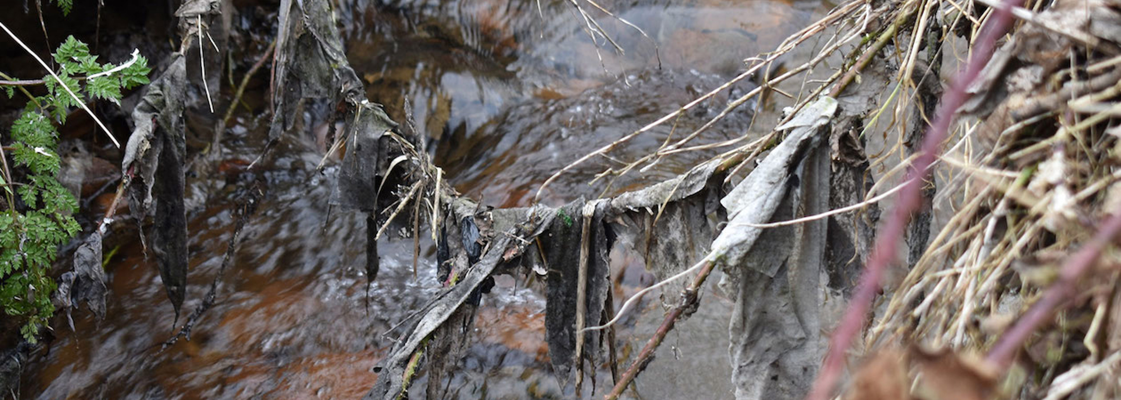 Shocking levels of sewage and storm water polluting rivers