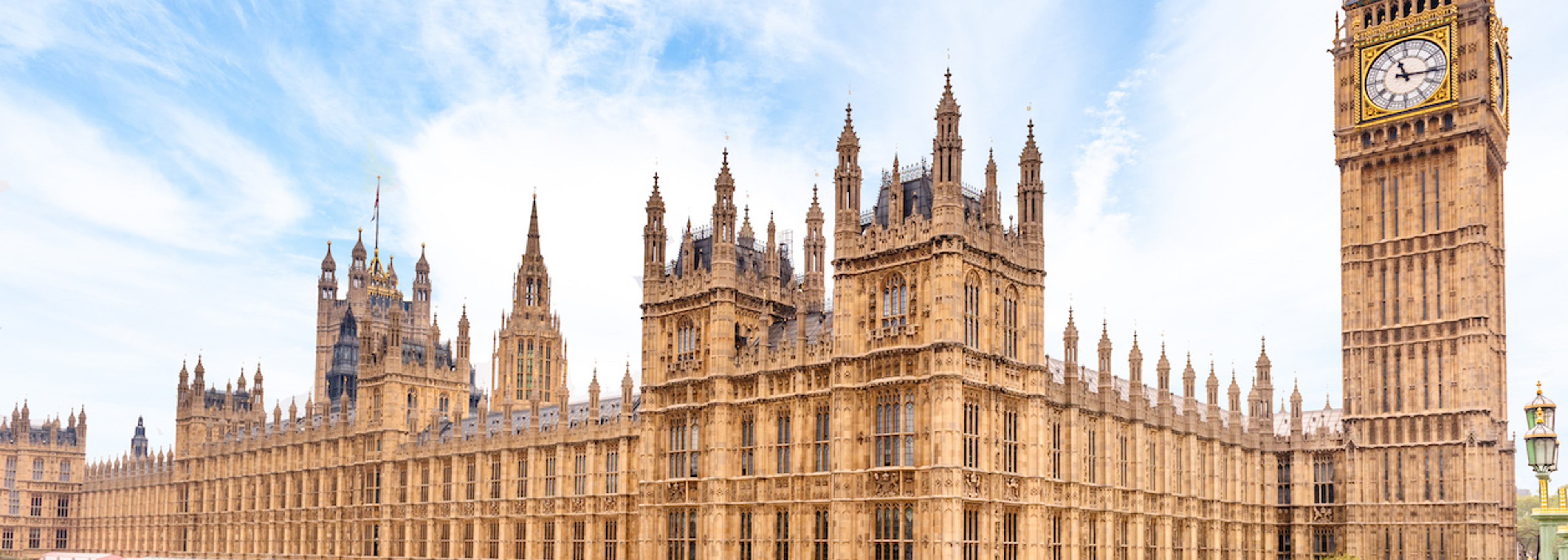 Queen’s speech: will we get our Environment Bill this time around?