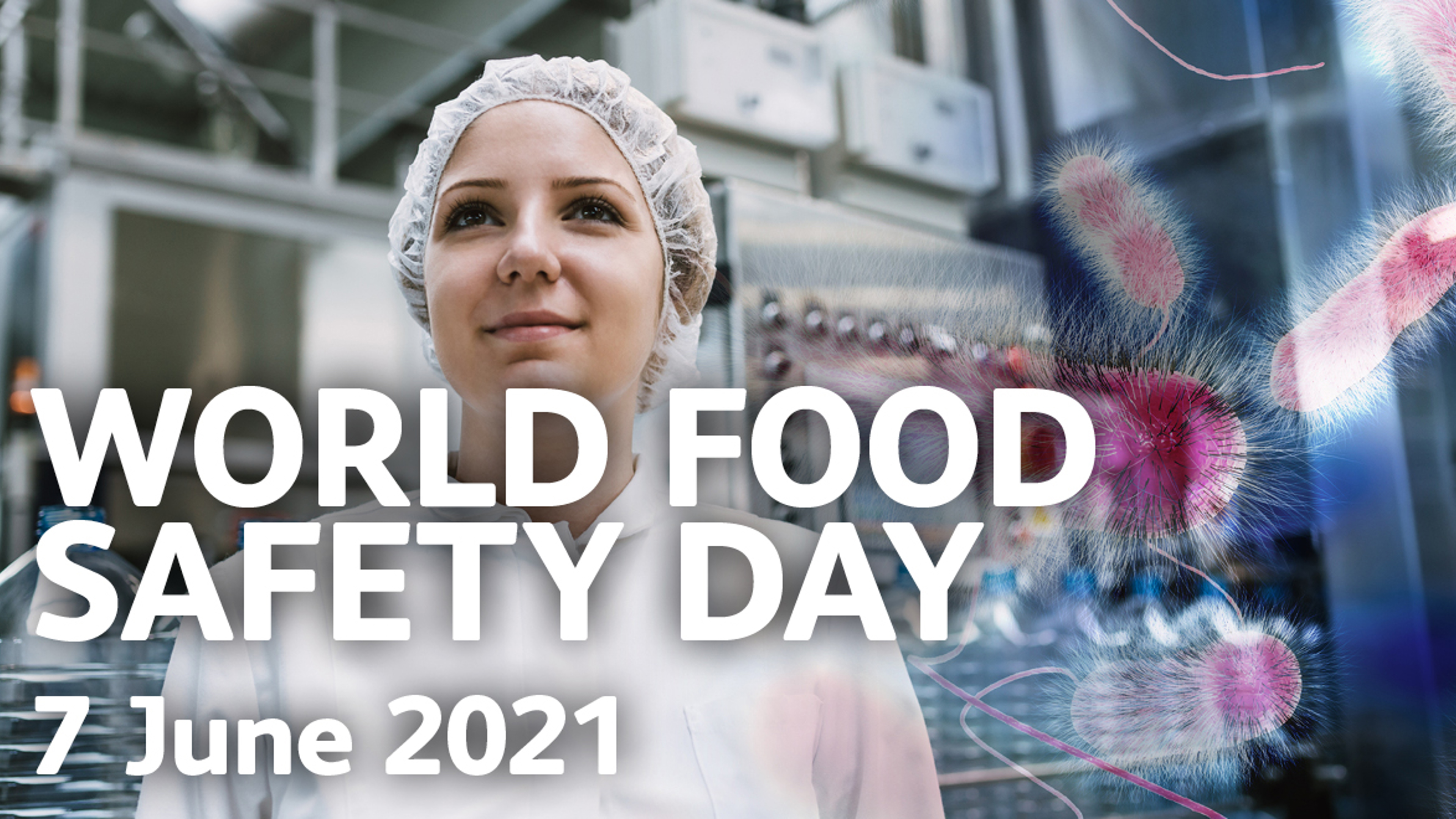 World Food Safety Day: today and every day for business operators