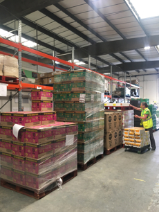 A member of Royal Greenwich's environmental health team visits the FareShare warehouse in Deptford