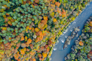 Aerial view of the autumn leaves and colours at River Wye, Symonds Yat, Herefordshire, Midlands, England, UK