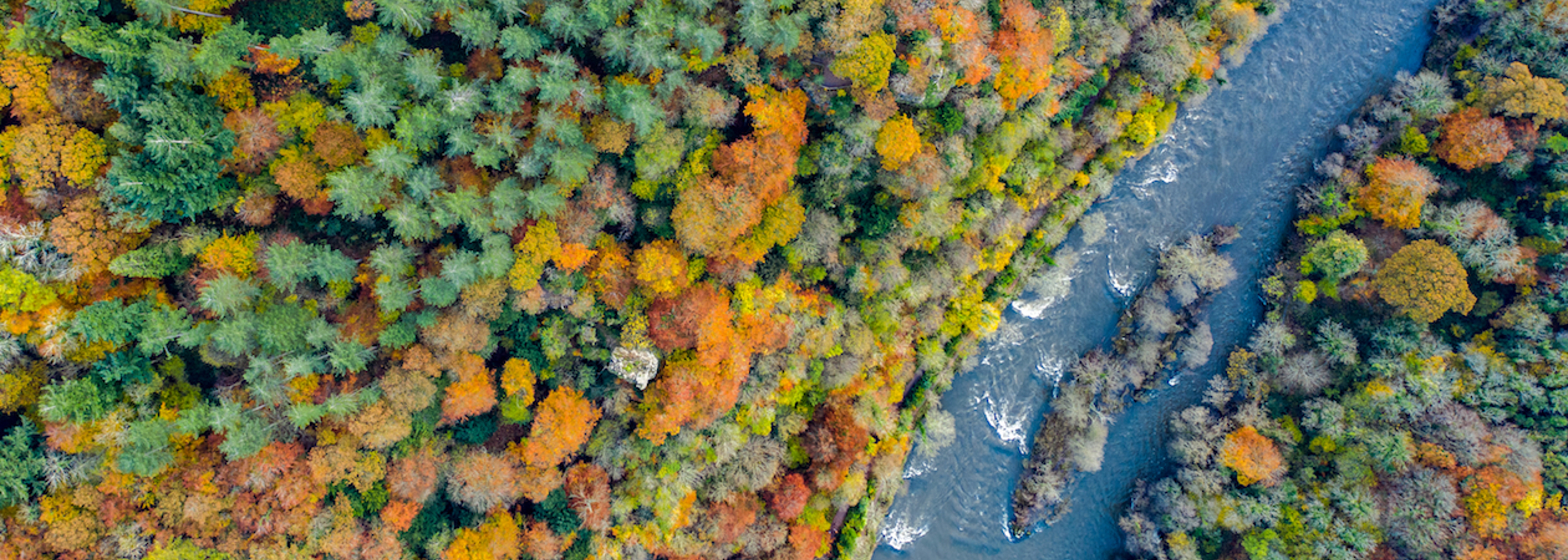 Care for your own river, environmentalists urge