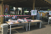 An outdoor teaching area for environmental health students at Cardiff Metropolitan University