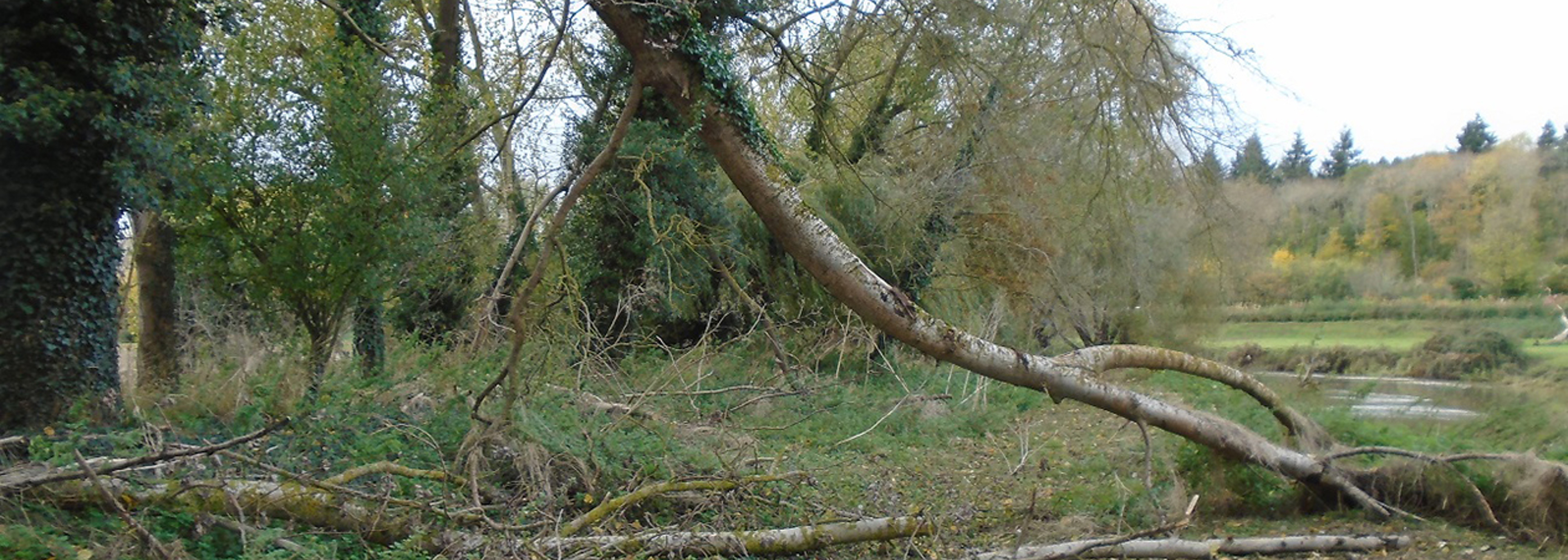 Anglers association fined £66k following volunteer’s death