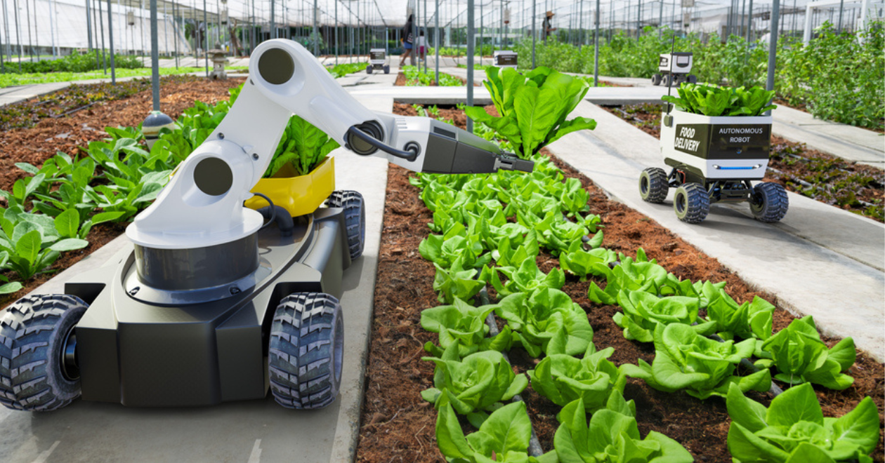 Agriculture robotic and autonomous car working in smart farm, Future 5G technology with smart agriculture farming concept. Credit: Shutterstock/Suwin66