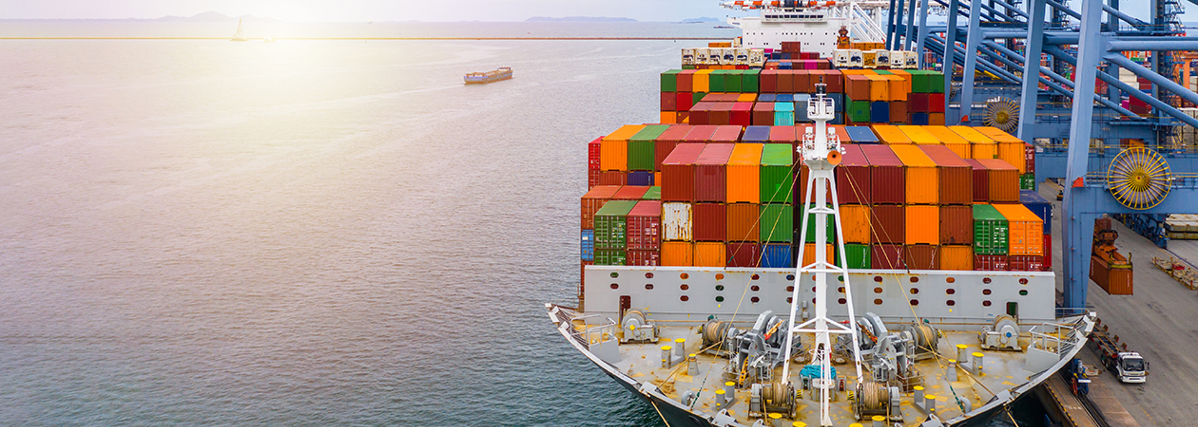 Delay Food Import Checks