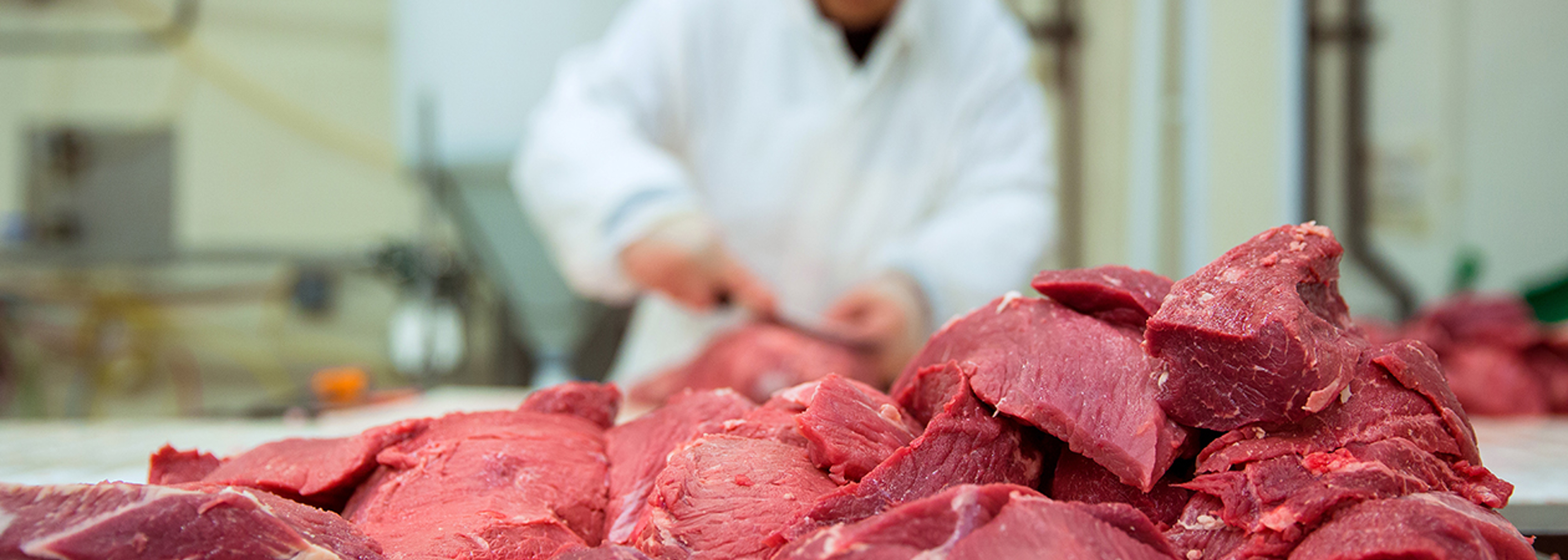 Illegal meat-cutting operations shut-down following raids