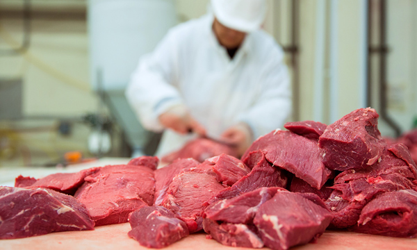 Illegal meat-cutting operations shut down following raids