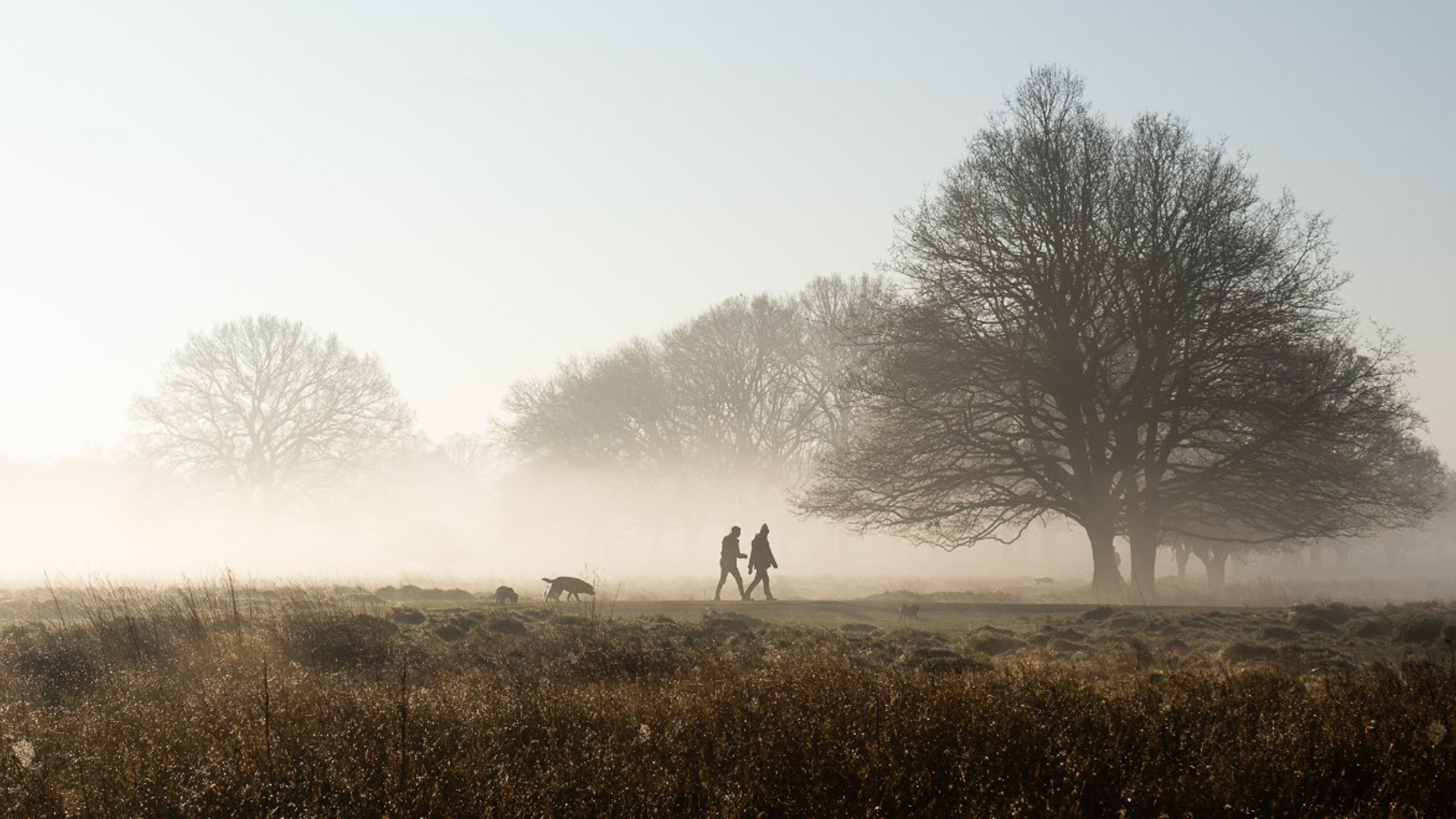Winter Walking: a festive update on the President’s Challenge