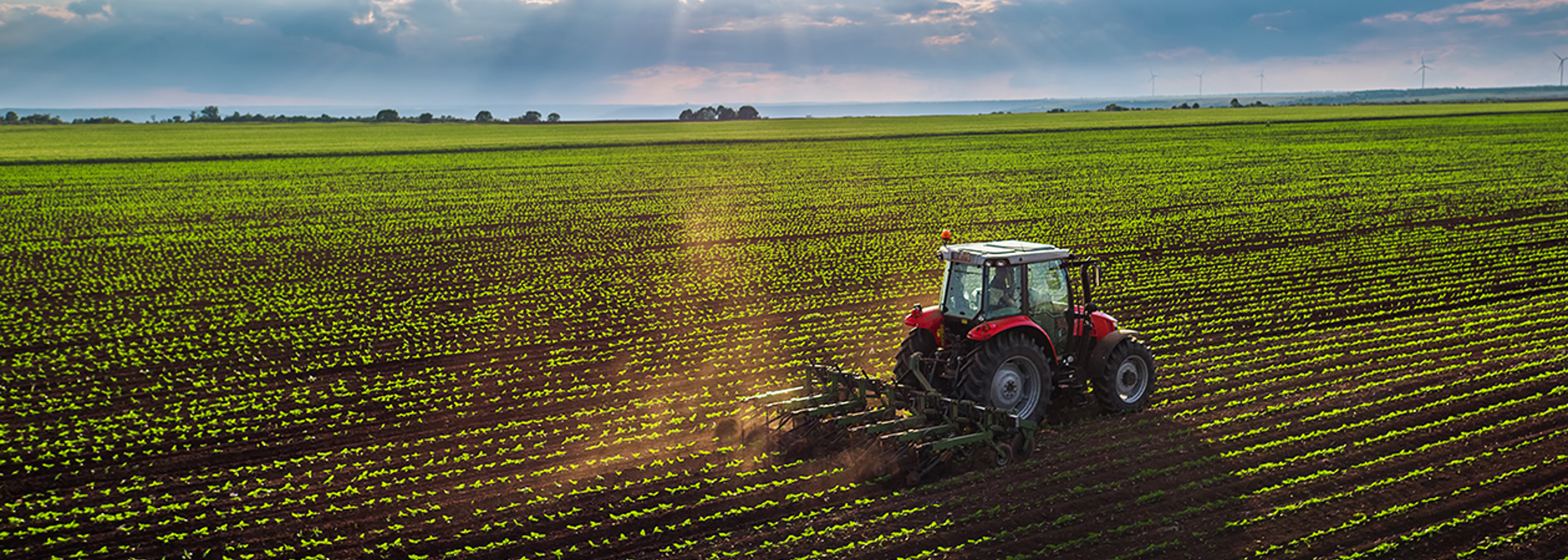 Plastic in farming poses risk to food safety