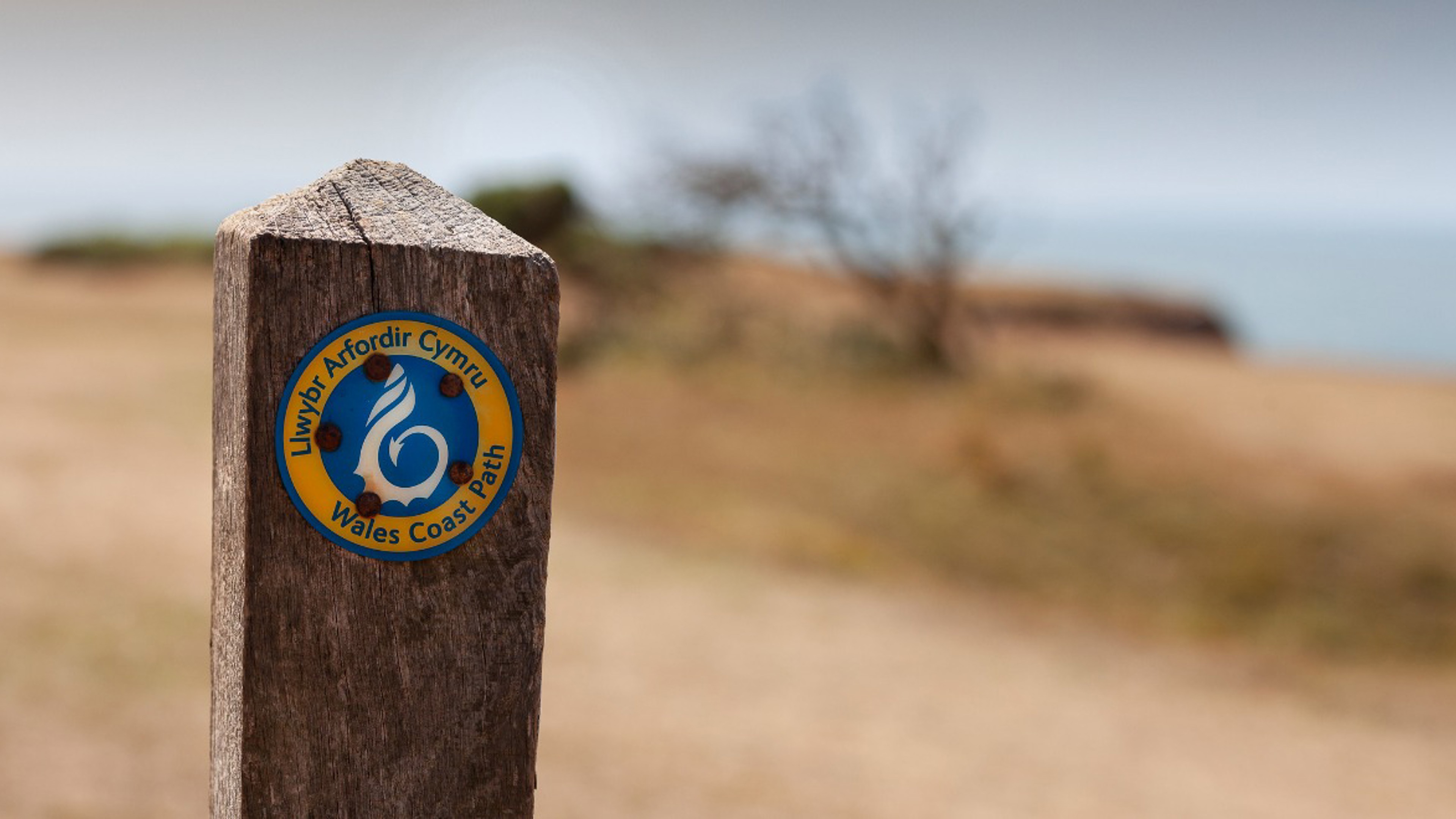 President’s Challenge: Wales Coast Path Walking Weekend
