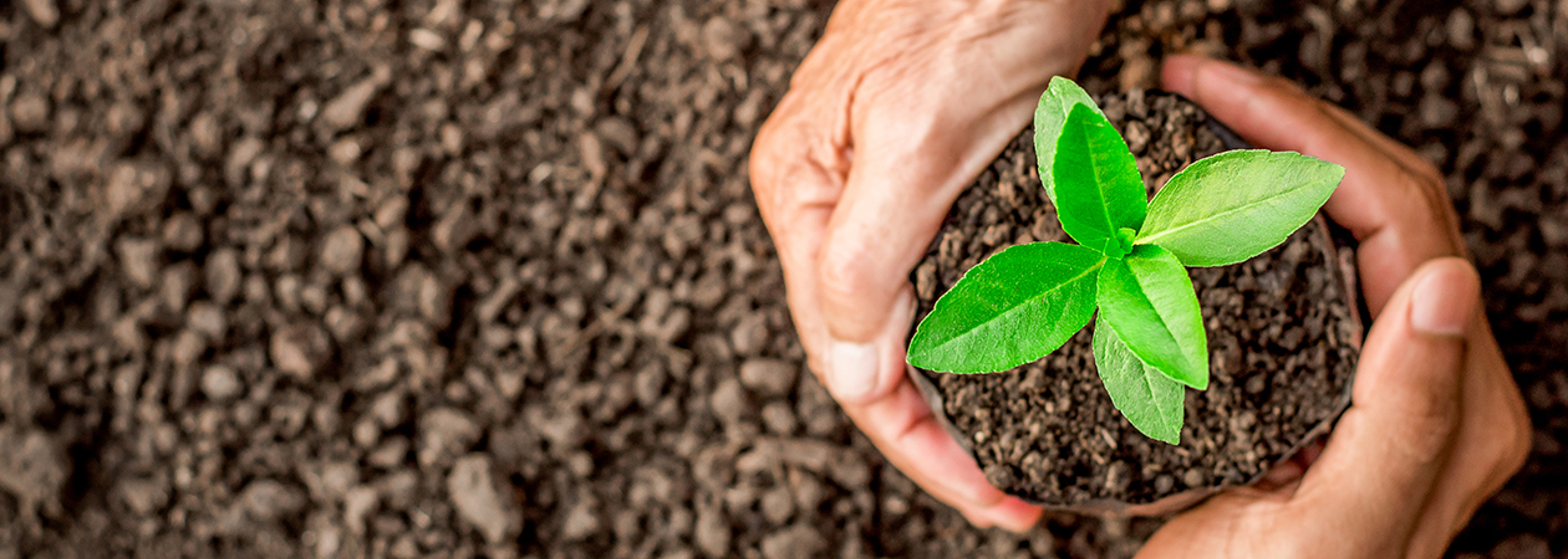 OEP calls for urgent environmental action