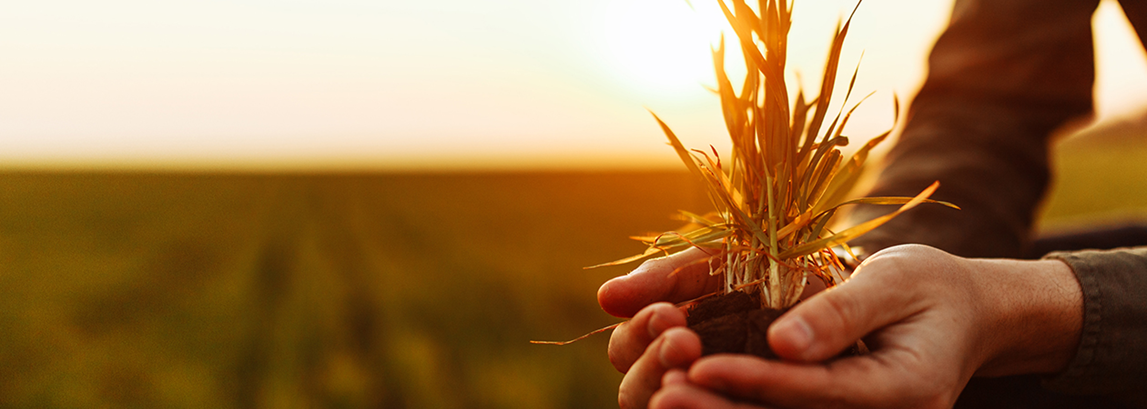 Research project to ‘jump-start’ reduction in agri-food gas emissions