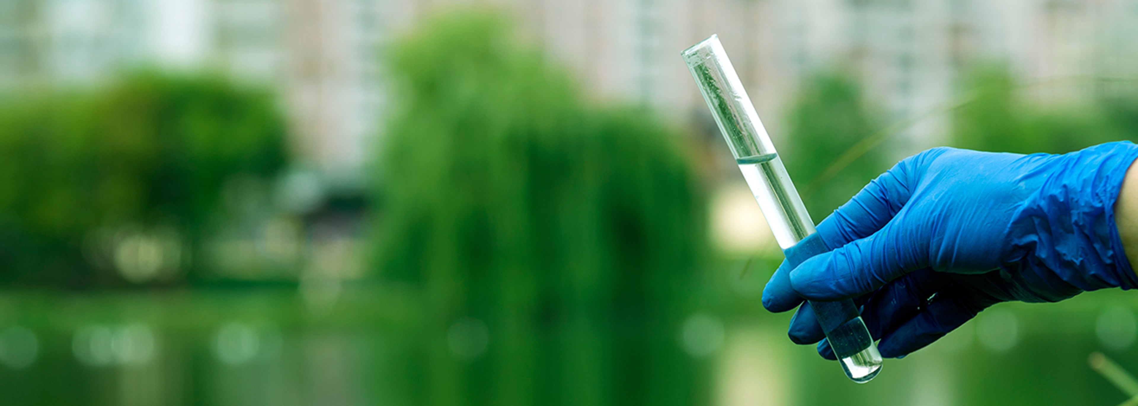 Defra to publish fewer biodiversity indicators in 2022