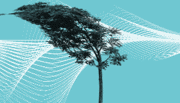 A tree appearing to be blown sideways by noise - represented as wavy lines