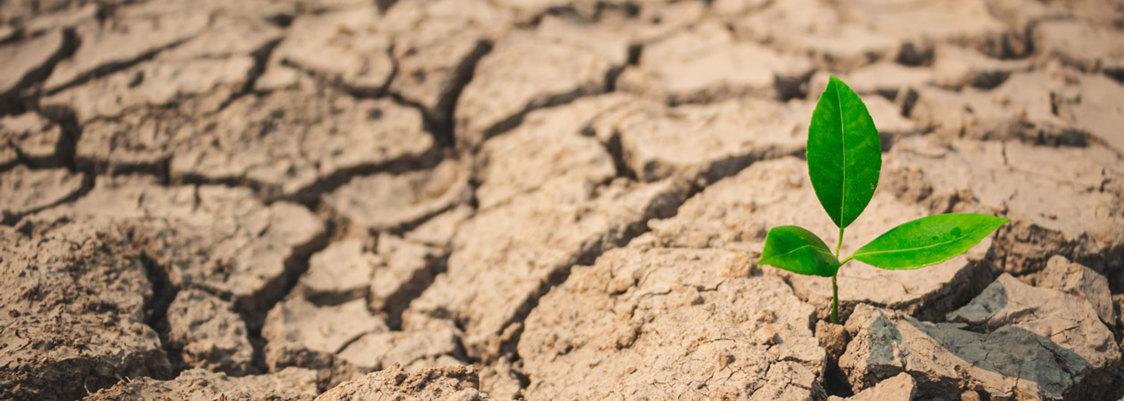 UK water environment in ‘critical state’ following drought