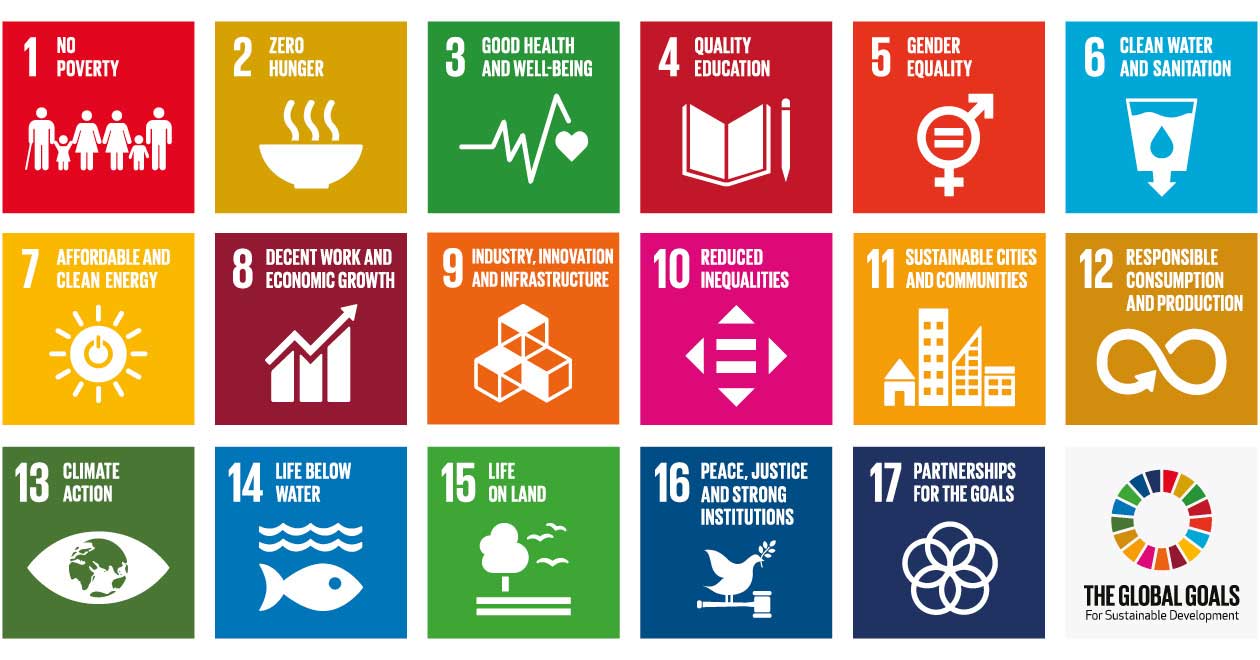 sustainable development goal essay