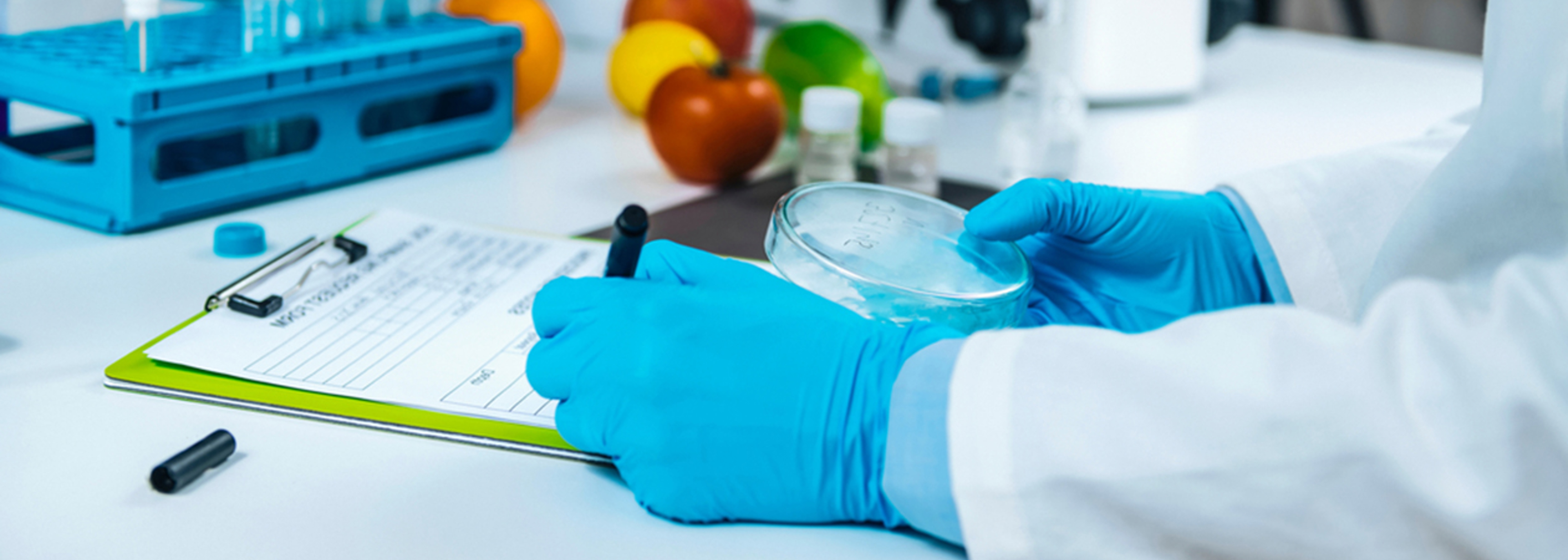 Food and environmental groups call for minimum standards in trade deals