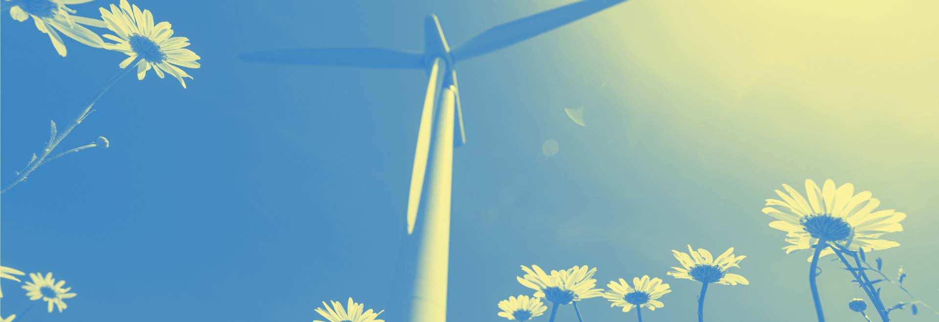 Wind turbine in field of daisies