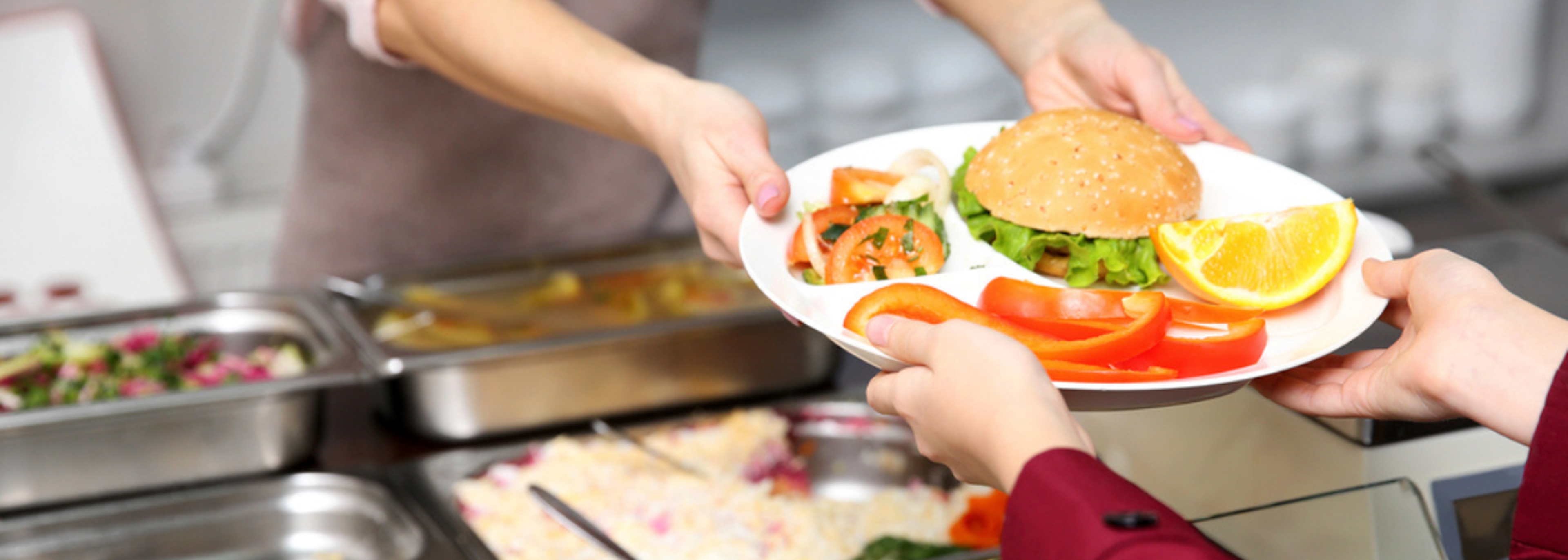 FSA pilot scheme launched to improve food in schools