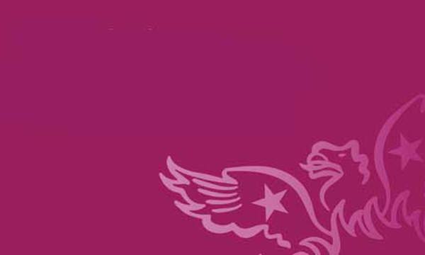 A section of the CIEH on a burgundy background