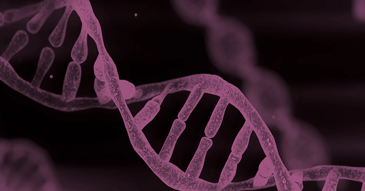 Genetic Technology (Precision Breeding) Bill