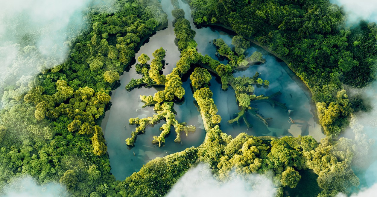 A conceptual image showing a lung-shaped lake in a lush and pristine jungle