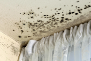 Damp and mould in the corner of a window/room