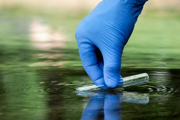 Person testing for pollution in water