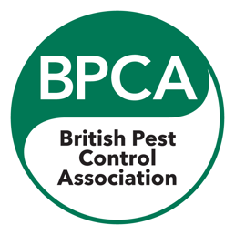 BPCA