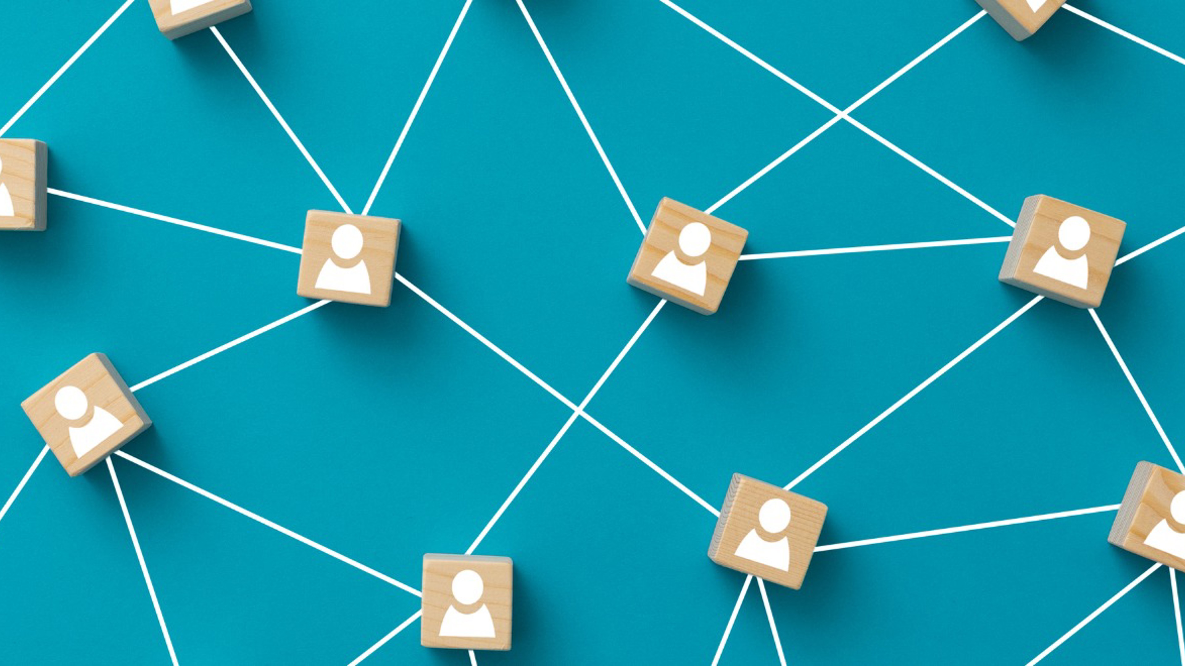 CIEH events programme: member forums