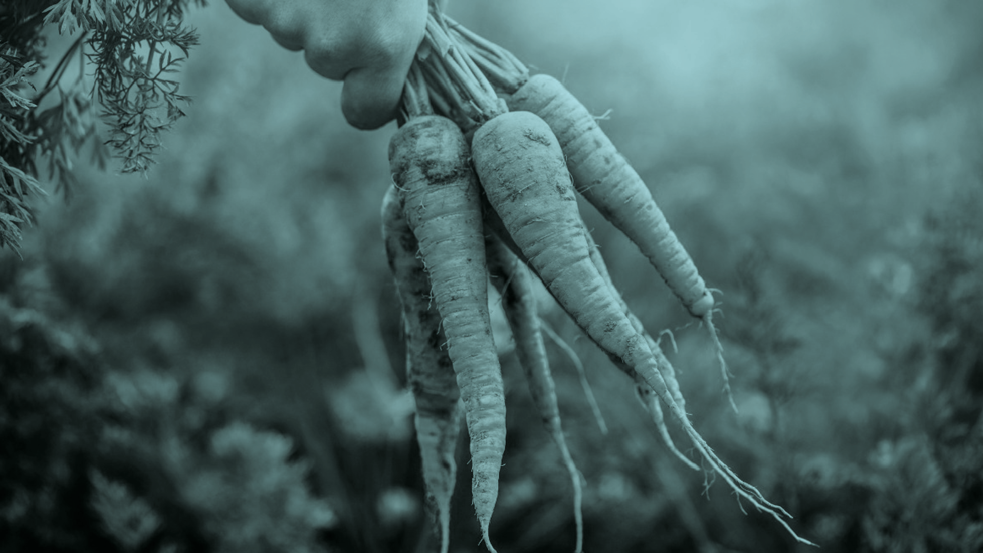 From farm to fork: leading the way in food safety training