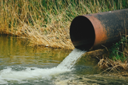 Sewage