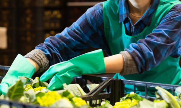 Person wearing gloves handling fresh produce