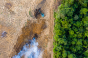 Crop field