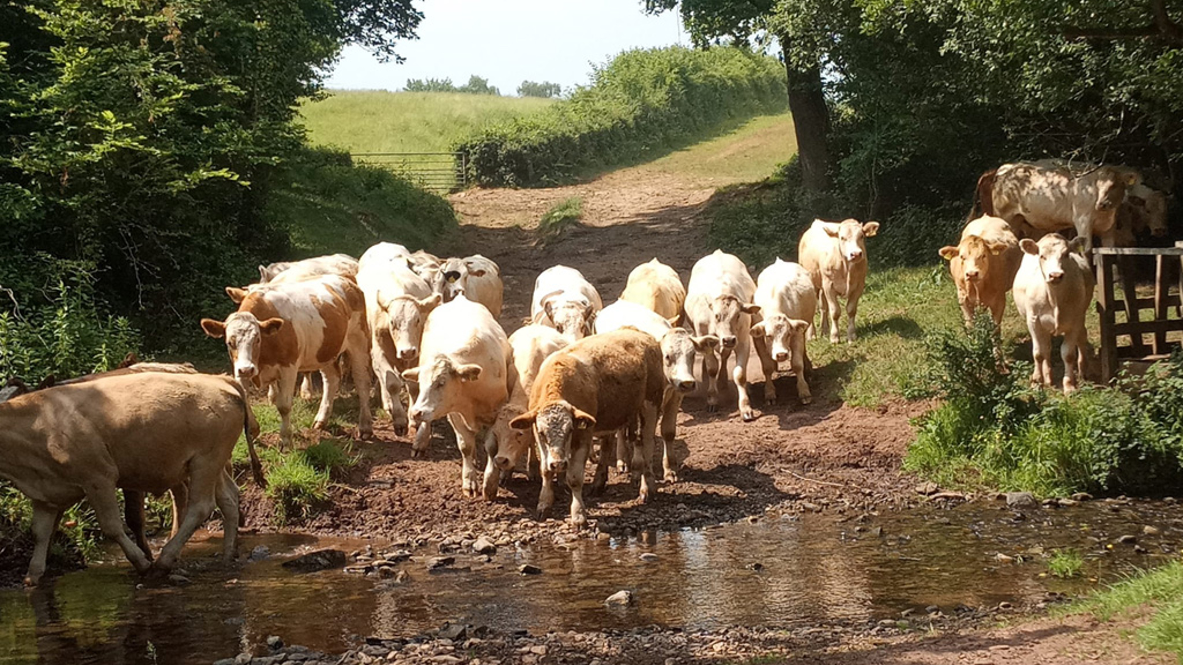 President's Challenge walking weekend – Hay-on-Wye