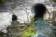 Sewage discharge