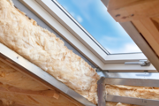 Insulation round sky-light