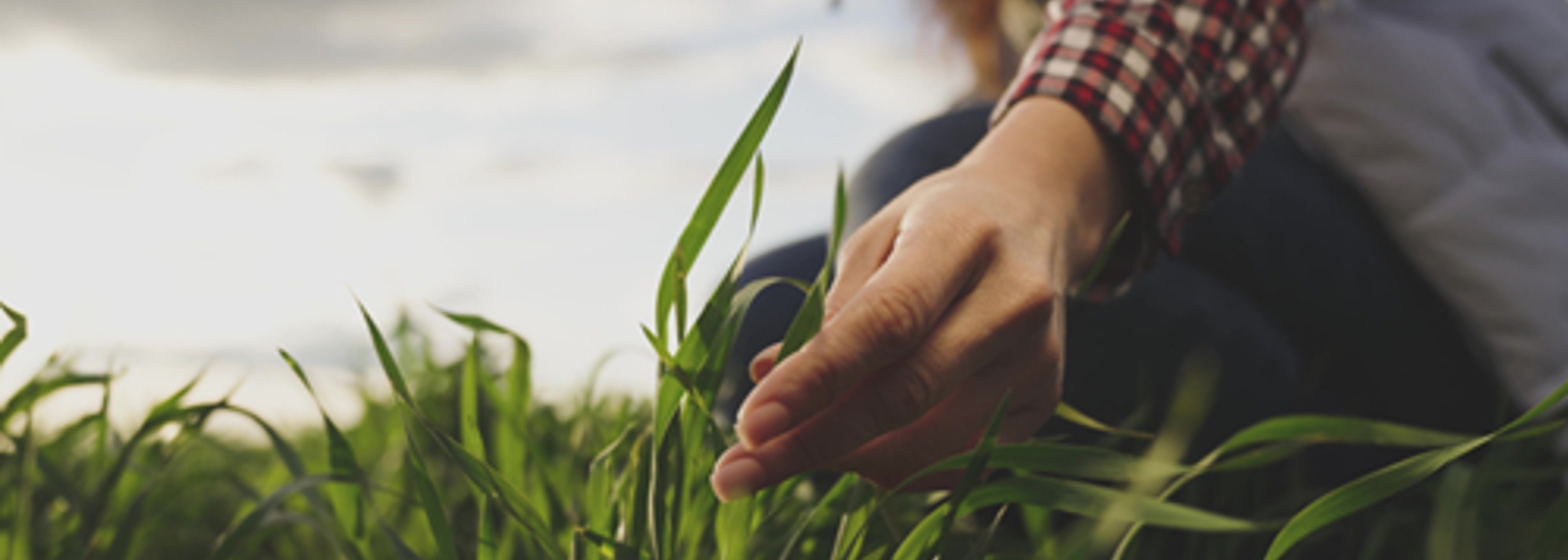 AIC calls for action to tackle UK’s ‘fragile’ food security