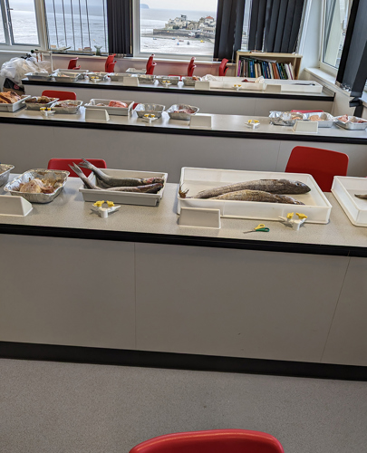 University Centre Weston, Food Practical
