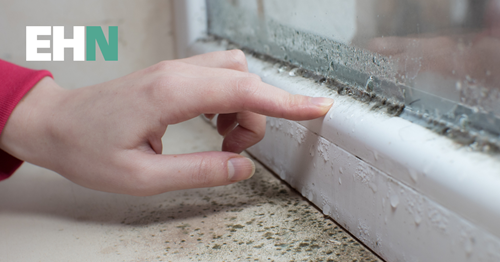 New guidance on damp and mould for rented housing providers