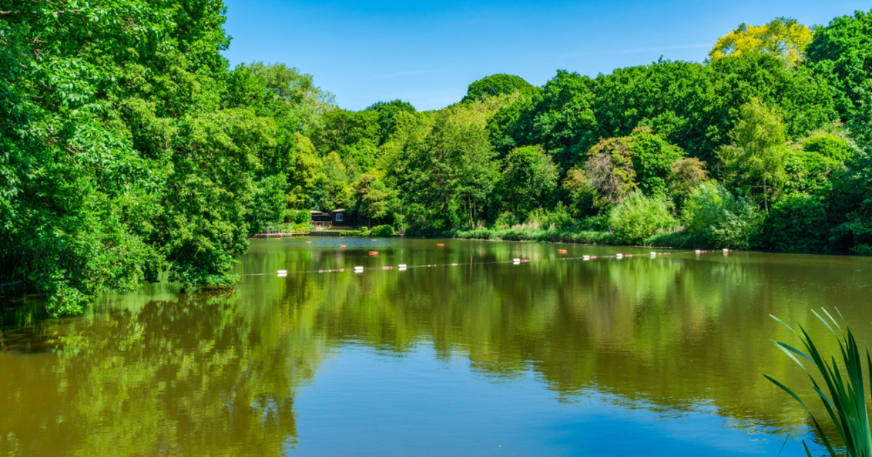 A bathing pond in Hampstead Heath park in north-west London, UK