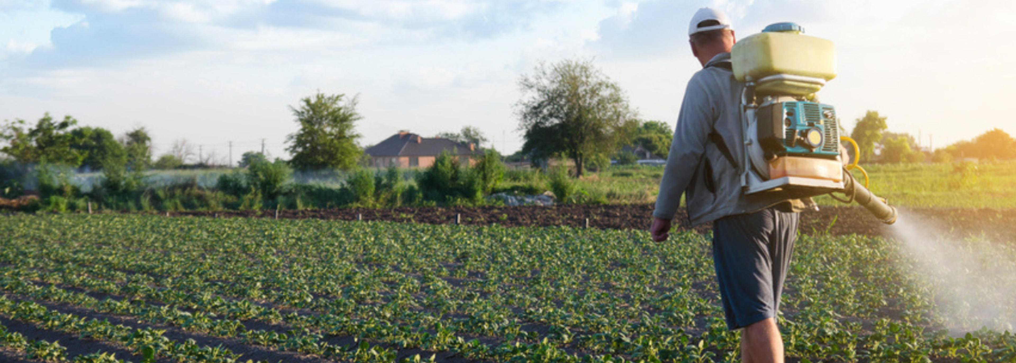 US fungicide approval threatens effectiveness of new British drug