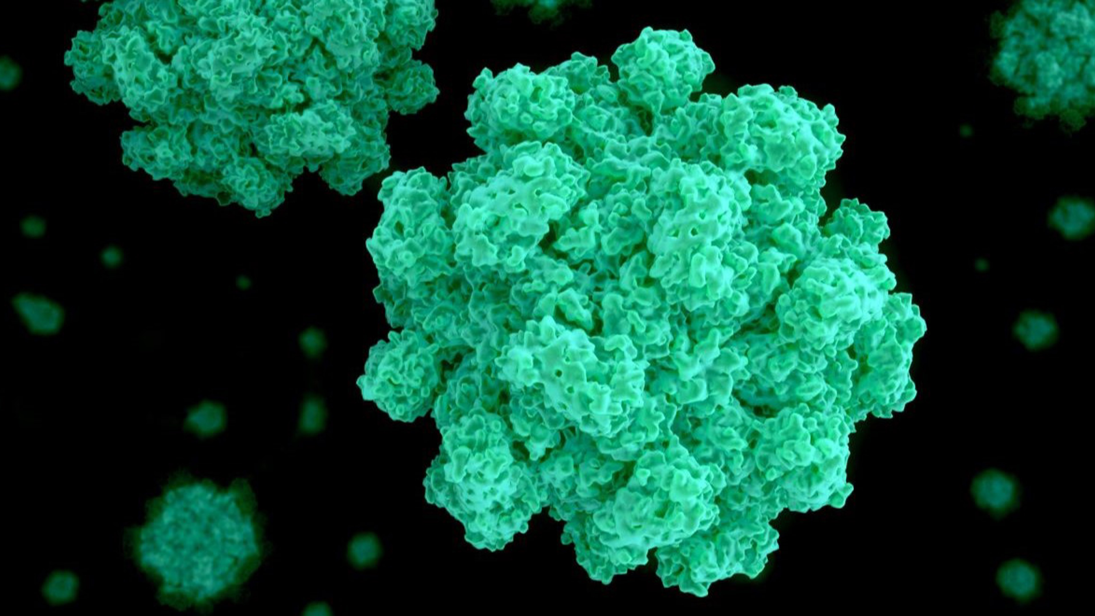 Out of sight, out of scope: the regulatory blind spot on foodborne viruses