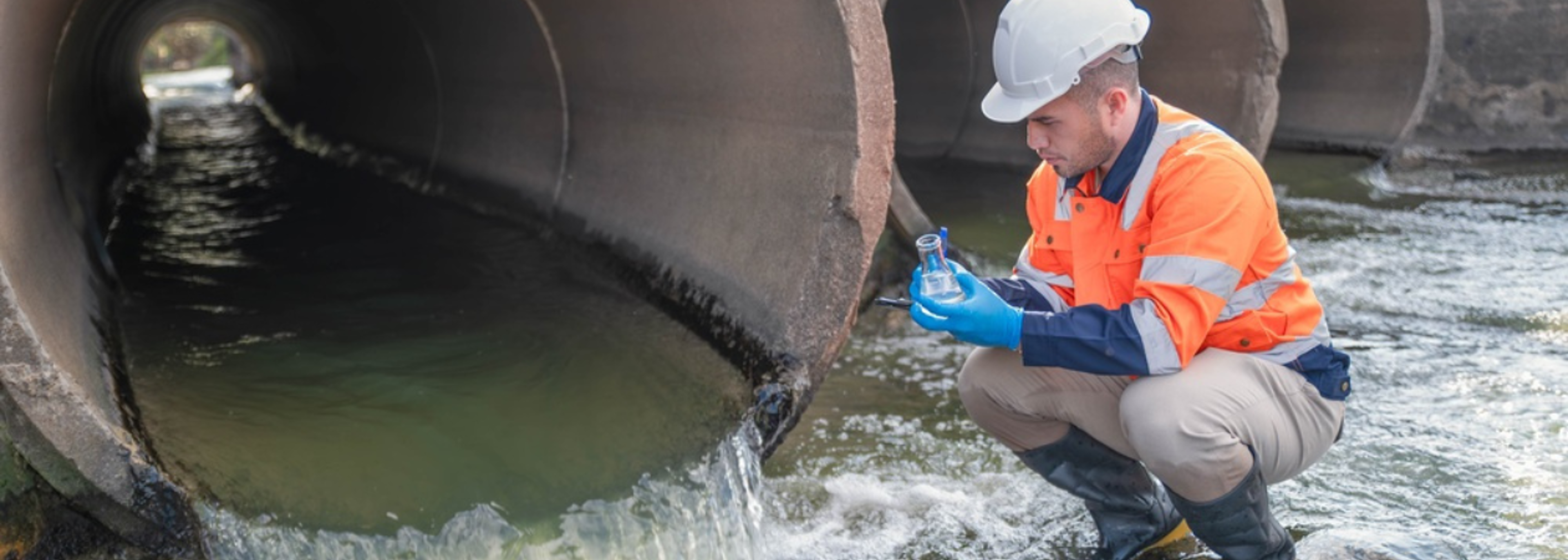 Defra cites progress in sewage pollution but charities urge caution
