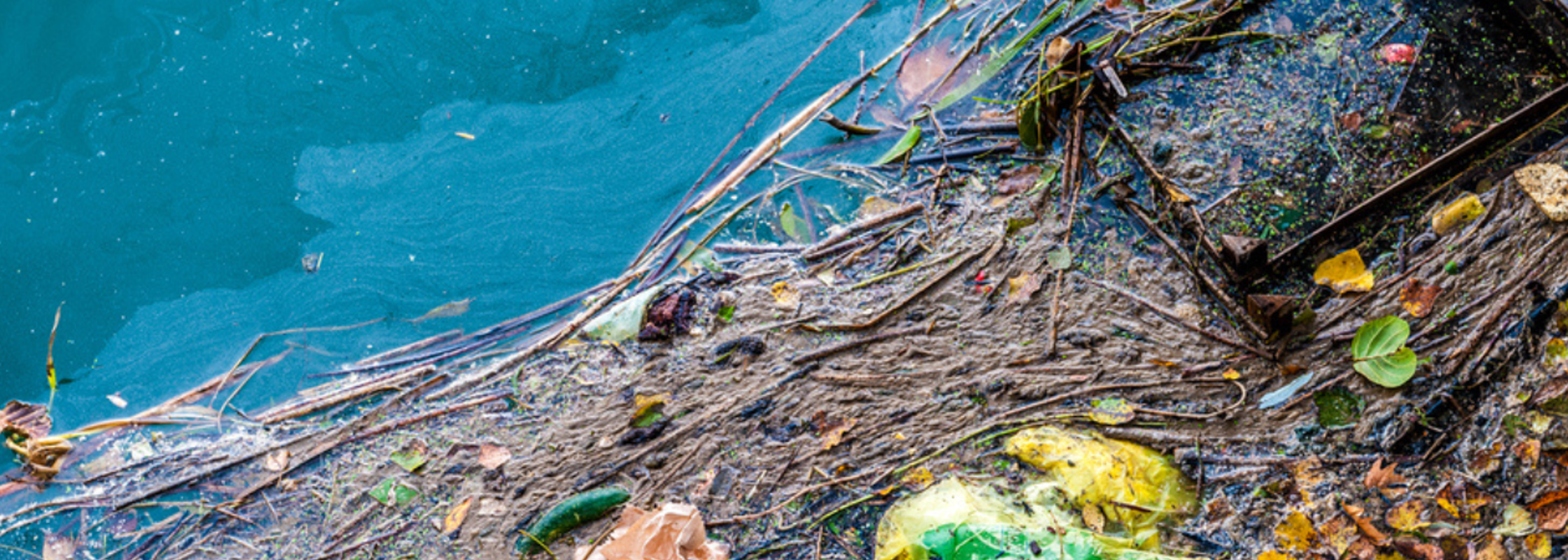 Government urged to tackle chemical pollution of rivers